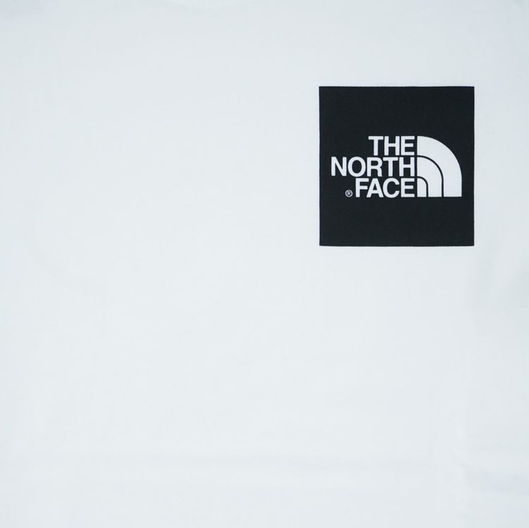 Футболка мужская The North Face Fine TNF White/TNF Black артикул:T0CEQ5LA9 - купить в магазине Дайс