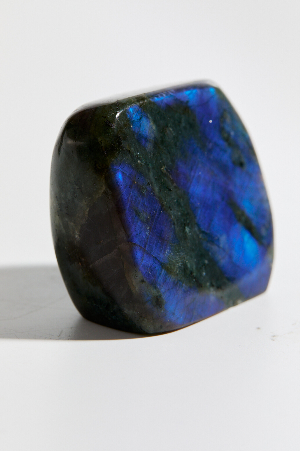 Срез Лабрадора S