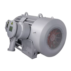 Электродвигатель ВАО7М 450 LB2 УХЛ1 РВЕхdI Mb 6000В IP54 400/3000 IM1001