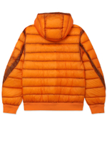 Мужской Пуховик In Dd-shell