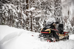 Снегоход AODES Snowcross 1000 WT 508mm LCD 10.25