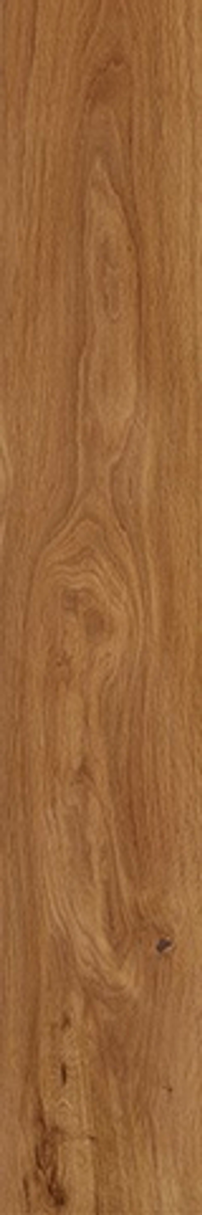 Керамогранит Forest Amber  непол.