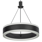 Citilux Дуэт CL719031 LED Подвесной светильник Чёрный