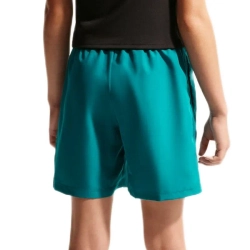 Детские теннисные шорты Nike Boys Dri-Fit Multi+ Training - bright spruce/white