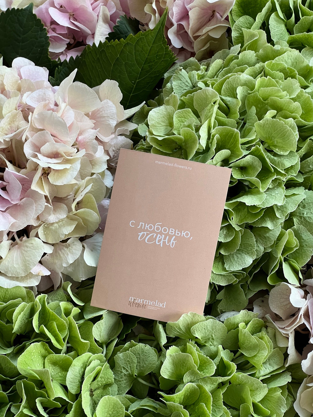 Открытка -С любовью, Осень (персиковый фон)