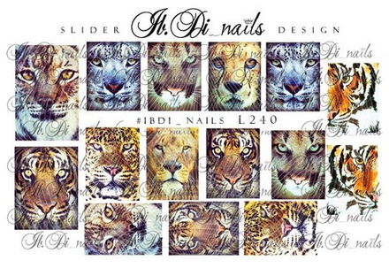 Слайдер №240