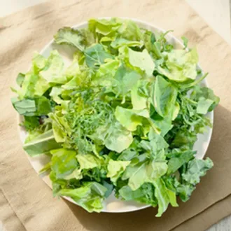 Салатный микс БИО / 200 гр