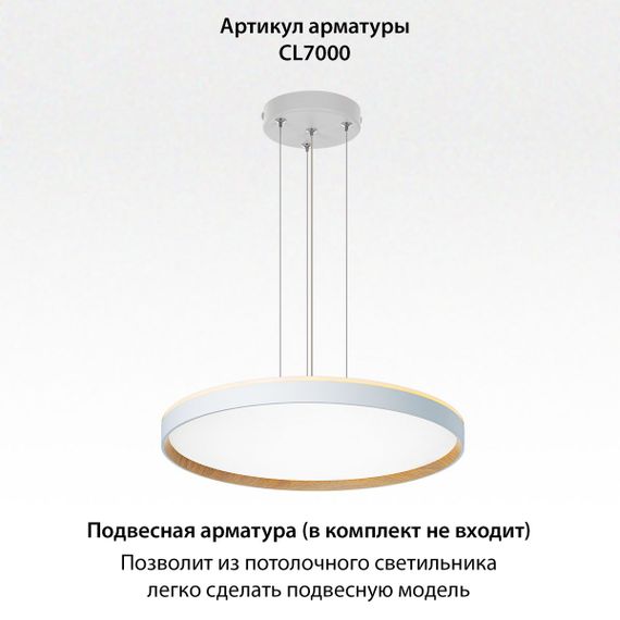 Потолочный светодиодный светильник Citilux Etalon CL750500R