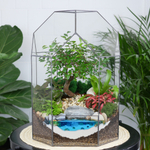 Готовый флорариум бонсай Японский вяз Бонсариум XL с озером