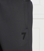 спортивные штаны EA7 - темно-синий(6LPP58 PJHFZ)