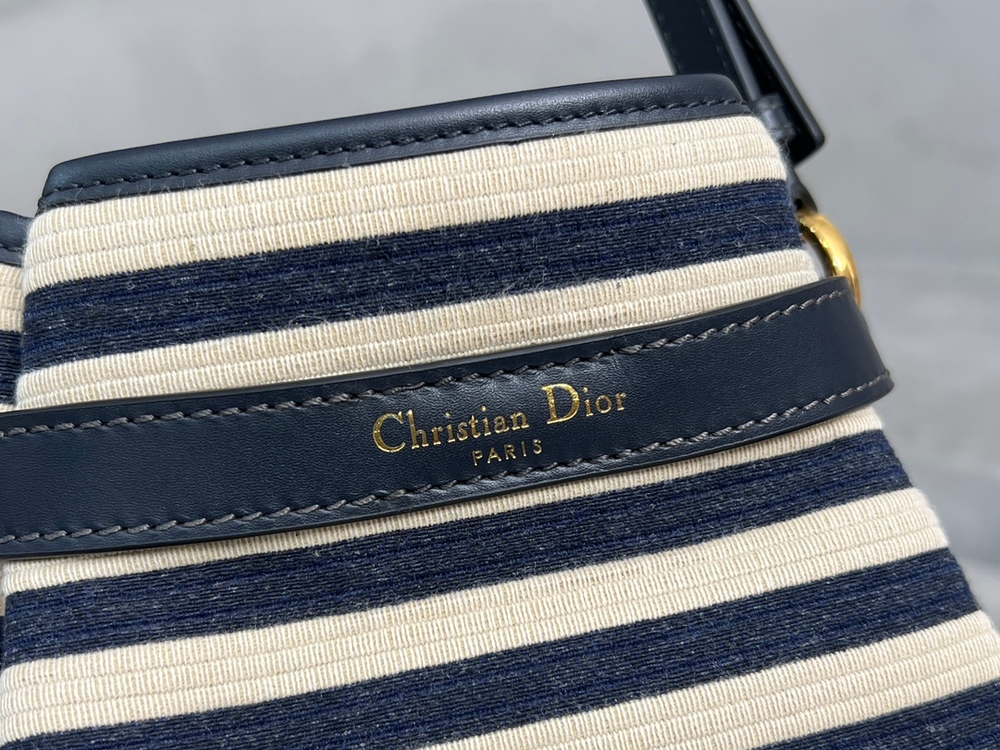 Christian Dior Medium C'est Dior Bag