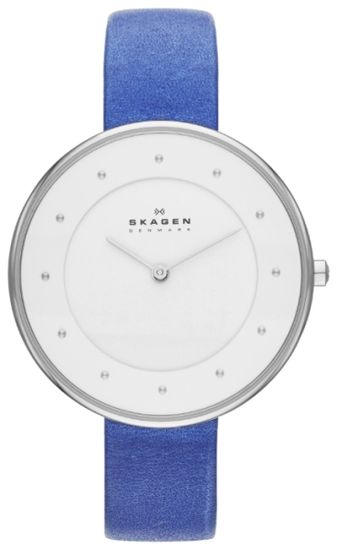 Наручные часы Skagen SKW2172