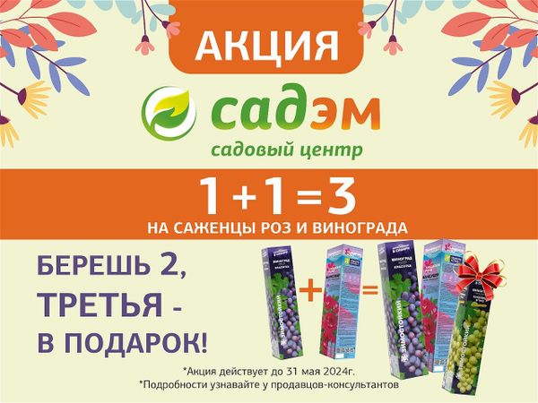 Акция 1+1=3 на саженцы РОЗ и ВИНОГРАДА!