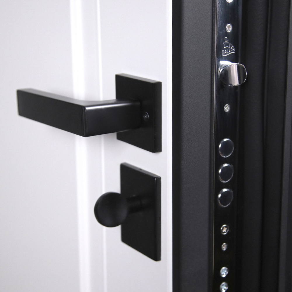 Стальная дверь "Plata" (умная электронная дверная ручка с отпечатком пальца Smart lock T888 Черная)