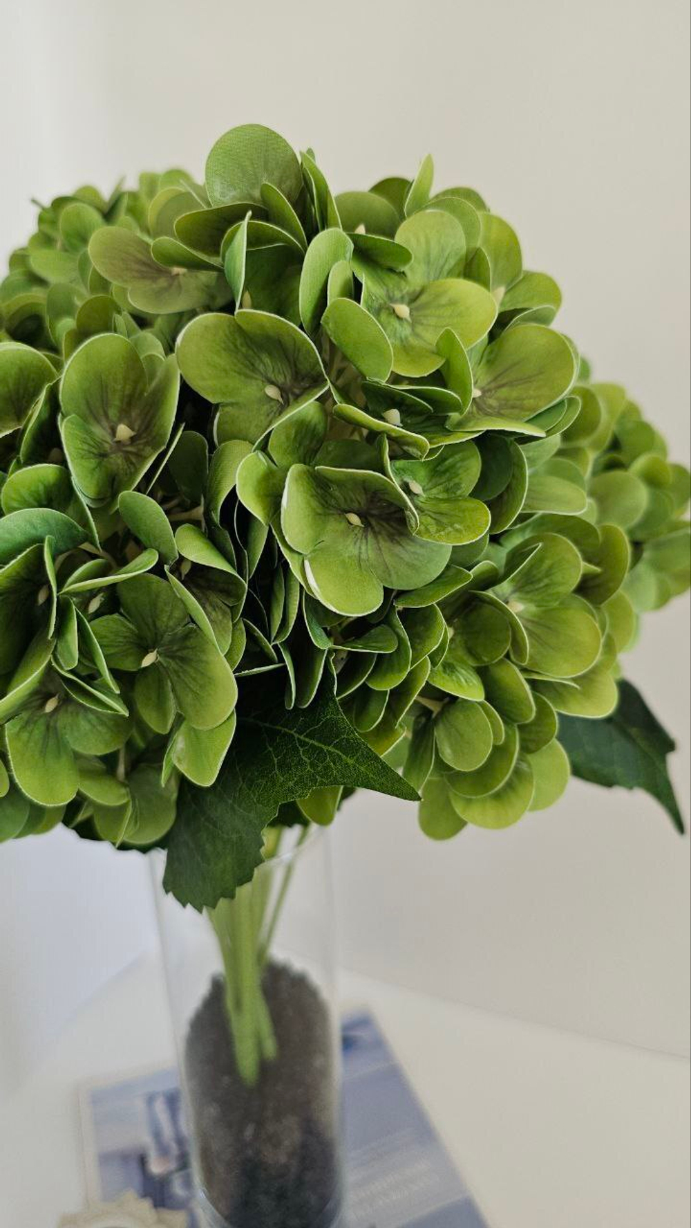 Гортензия 5 голов / Арт 2089