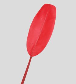 TR 607S Банановый лист