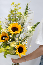 Sunflower’s field