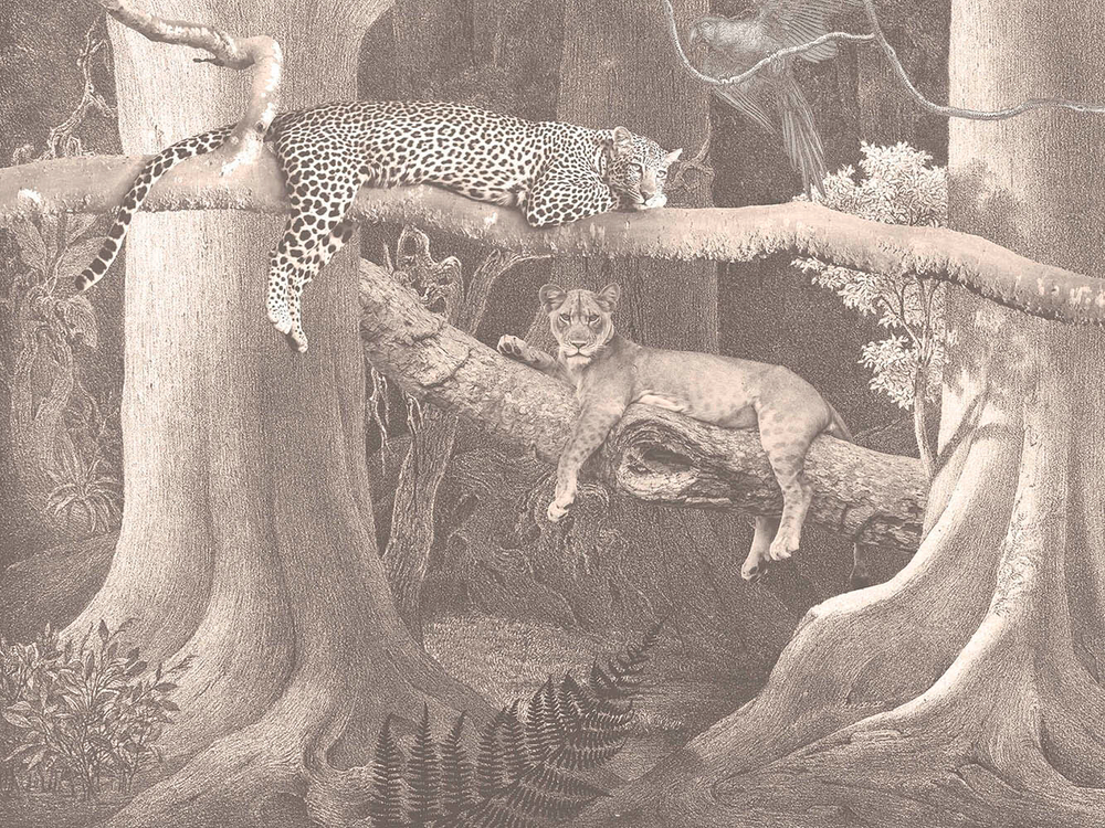 Дизайнерские обои Wall Street Zenith