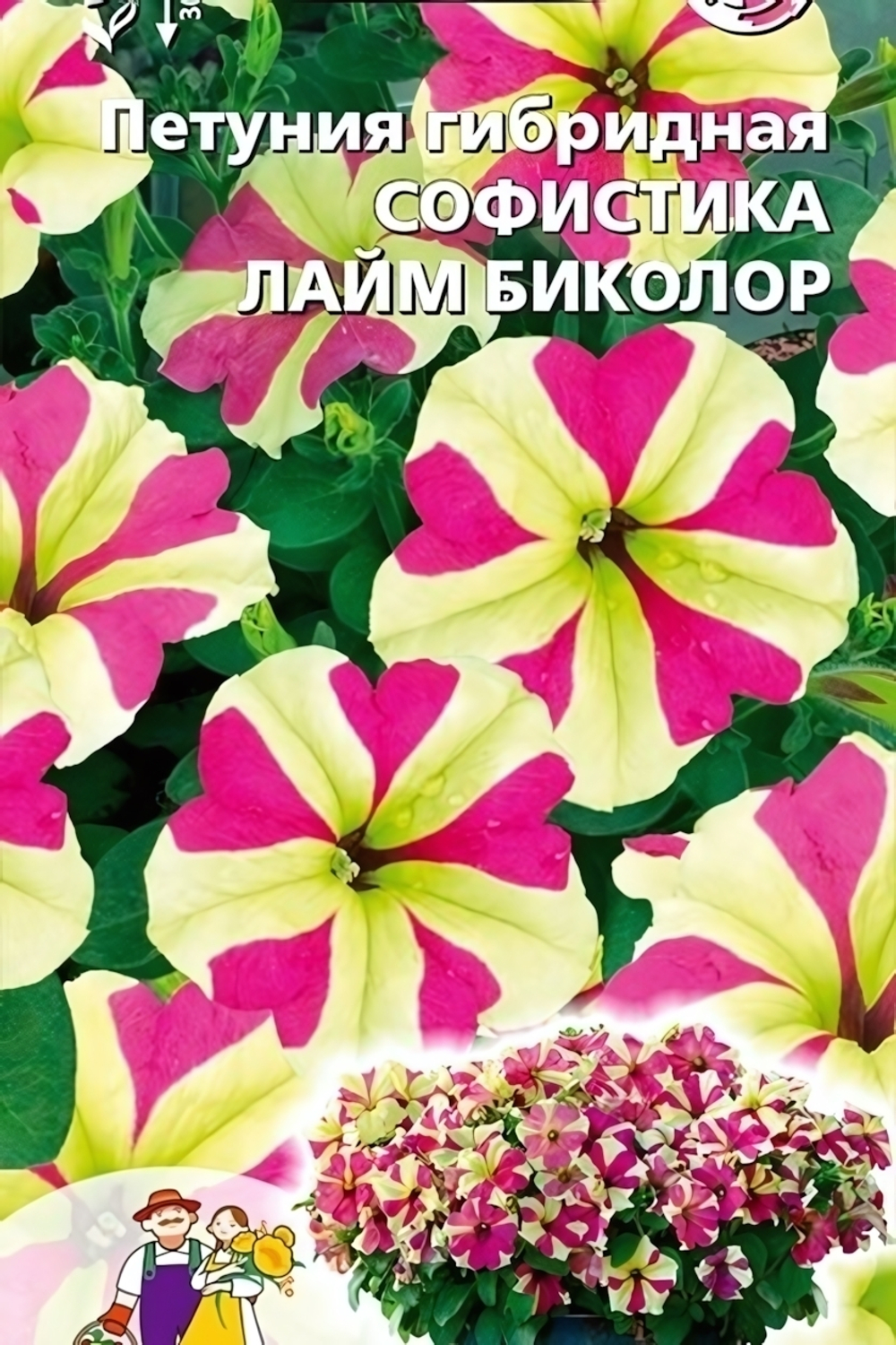 Семена Петуния гибридная Софистика лайм биколор (УД) Е/П
