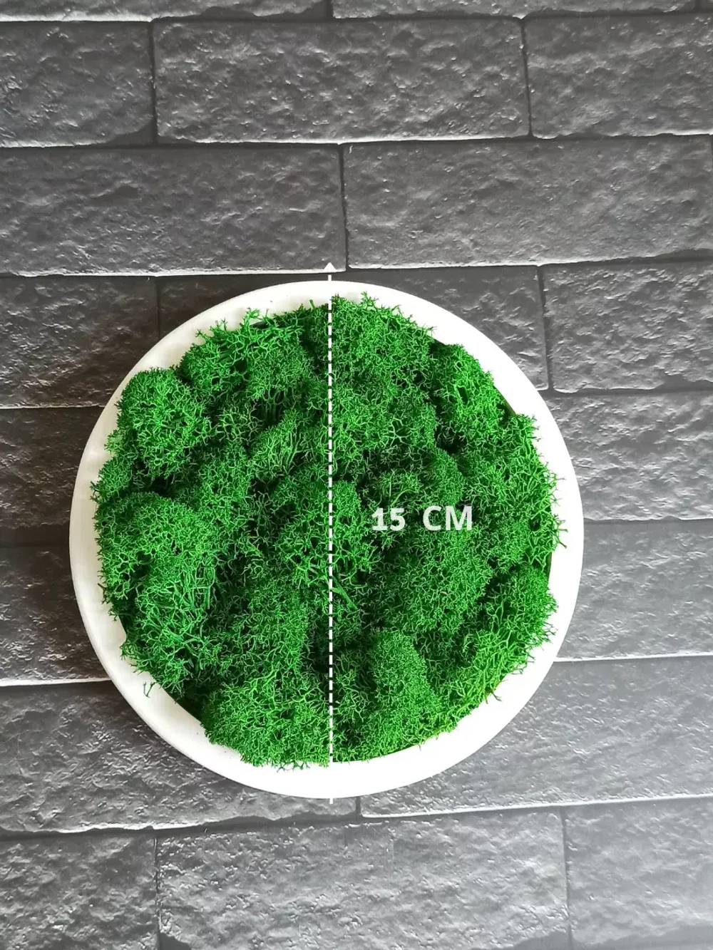 Круглое панно на стену из мха набор 3 шт.