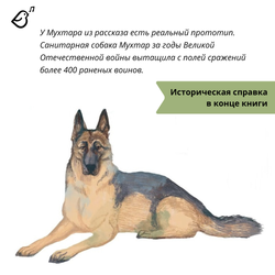 Овчарка Мухтар. Четвероногий спасатель