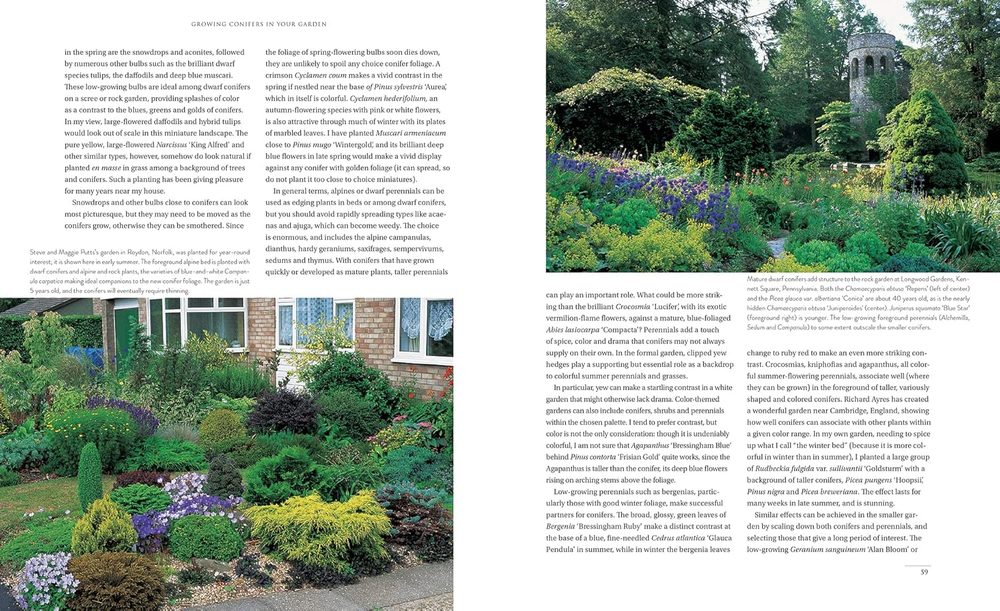 Gardening with conifers