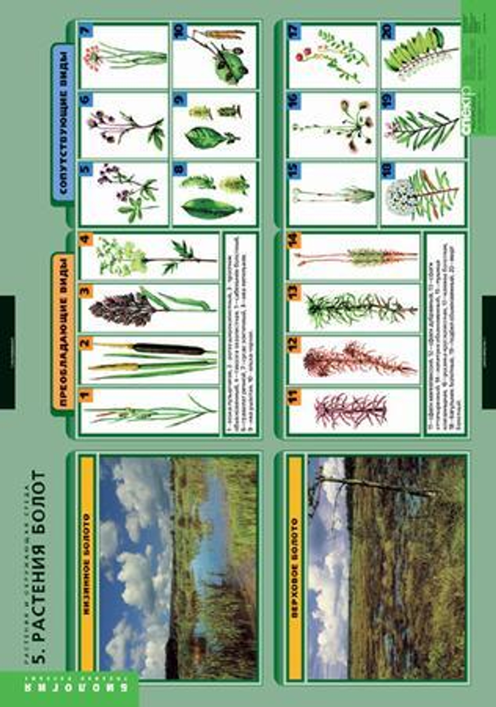 Комплект таблиц "Растения и окружающая среда" (7 табл.)
