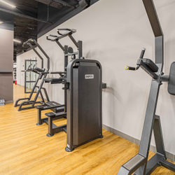 U3009D Турник, брусья с противовесом. Стек 99 кг