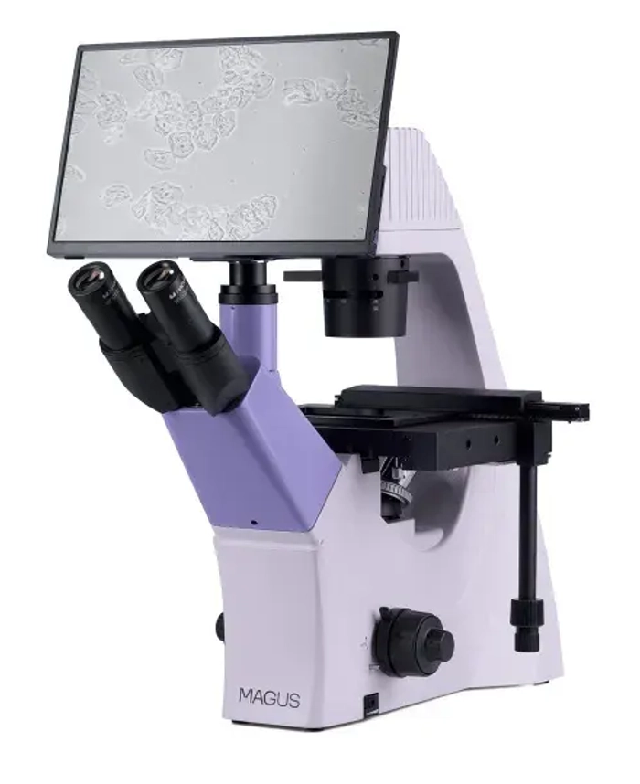 Микроскоп биологический инвертированный цифровой MAGUS Bio VD300 LCD