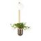 Настенный светильник Odeon Light Walli Flower 4682/1WB