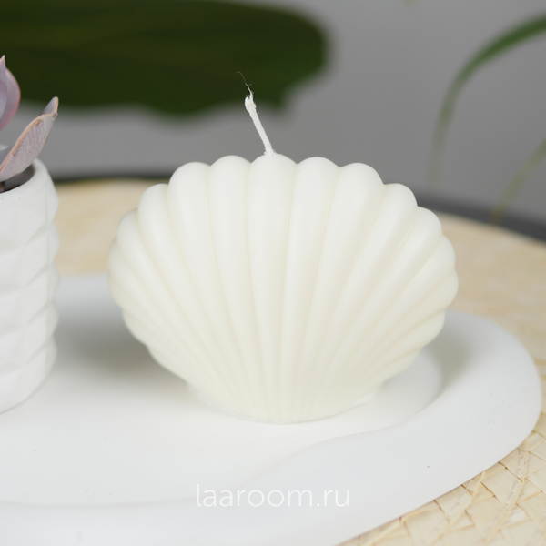 Набор суккулент в кашпо + свеча №1