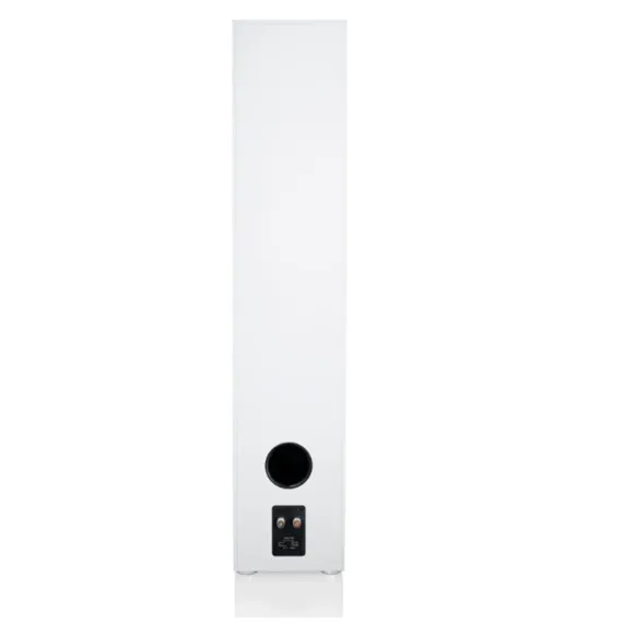 Canton GLE 100 White