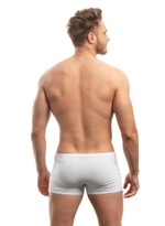 Хлопковые мужские трусы-боксеры (Размер: M) (Цвет: серый)
