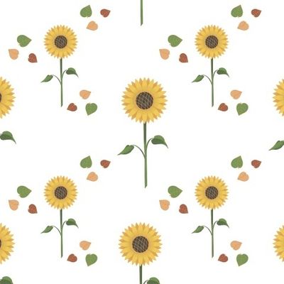 Подсолнух с листочками на белом