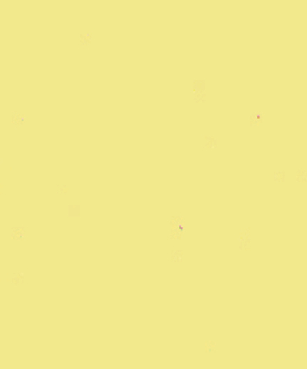 Маркер мебельный спиртовой, Сосна