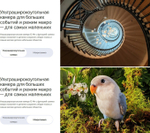 Смартфон HONOR 90 12/512 ГБ Global, Dual nano SIM, emerald green