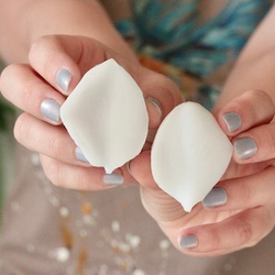 Вайнер лепесток Плюмерии ClayCraft by DECO™