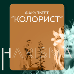 Колористика для начинающих