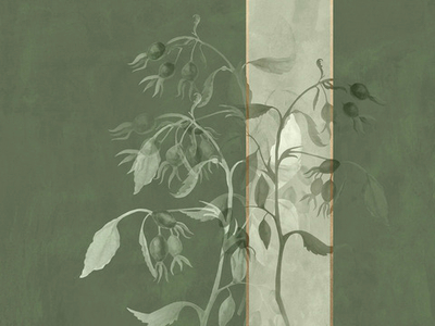 Дизайнерские обои Wall Street Bella 5