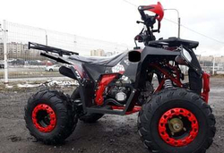 Квадроцикл RAPTOR DUX 8