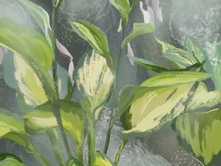 Коллекция ALIVE 22