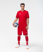 Футболка игровая DIVISION PerFormDRY Union Jersey, красный/ темно-красный/белый