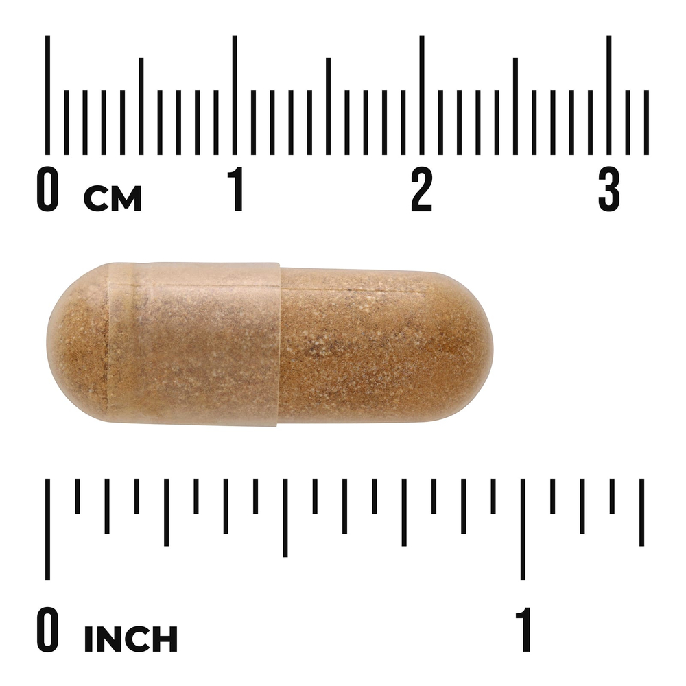 Swanson Vitamins, Печени, железистая, 500 мг, 60 капсул