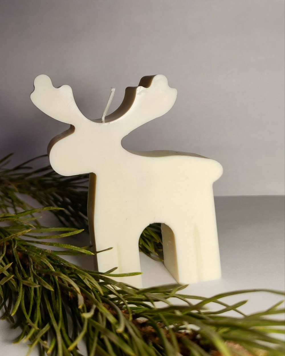 Волшебный свет северного оленя