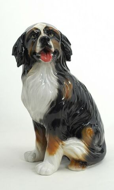 Boxer Зенненхунд Бернский