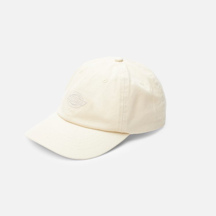 Кепка Dickies Duck Canvas Cap артикул:DK0A87NFL171 - купить в магазине Дайс