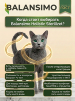 Сухой корм для стерилизованных кошек холистик Balansimo Holistic с лососем и рисом, 2 кг