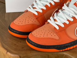 Concepts x Dunk Low SB Orange Lobster