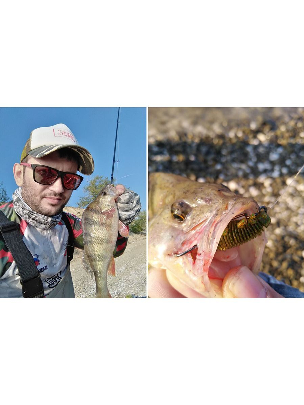 Виброхвосты съедобные искусственные LJ Pro Series INSECTOR 2,8in (07.00)/T65 8 шт. в упак.