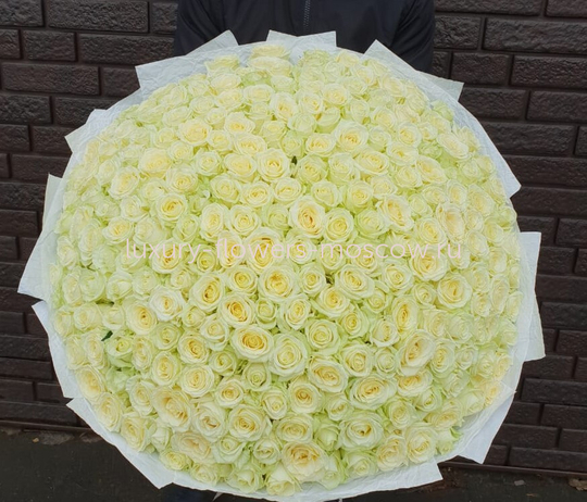201 белая роза рф в светлой упаковке